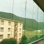 防鳥ネット画像 by 便利屋 よろず屋