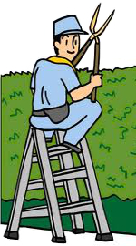 剪定作業画像 by 便利屋 よろず屋